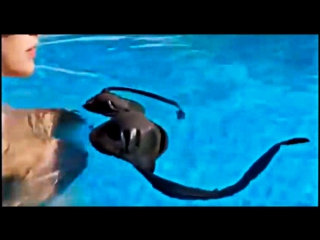 beautiful girl in the pool skillfully puts on a bra sex video